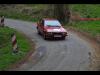 VH Marcillac 2014 - Auto Sport Rodelle - La passion du rallye historique et des voitures anciennes