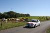 Ronde des lacs 2014 - Auto Sport Rodelle - La passion du rallye historique et des voitures anciennes