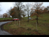 Ronde du Téléthon 2018 - Auto Sport Rodelle - La passion du rallye historique et des voitures anciennes